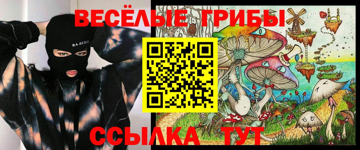 Воронеж  Галлюциногенные грибы MAGIC MUSHROOMS  Псилоцибиновые грибы GOLDEN TEACHER  Вход с VPN 